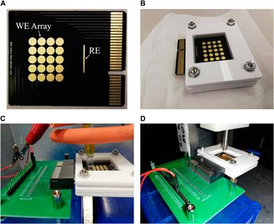 An electrochemical device to control sample pH locally in Lab-on-PCB devices: An investigation into spatial resolution